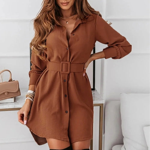 O-Neckline Shirt Dress in Coffee